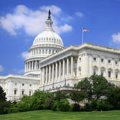 Government Services
